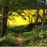 Der Weg