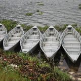 Fischerboote in Pkhara